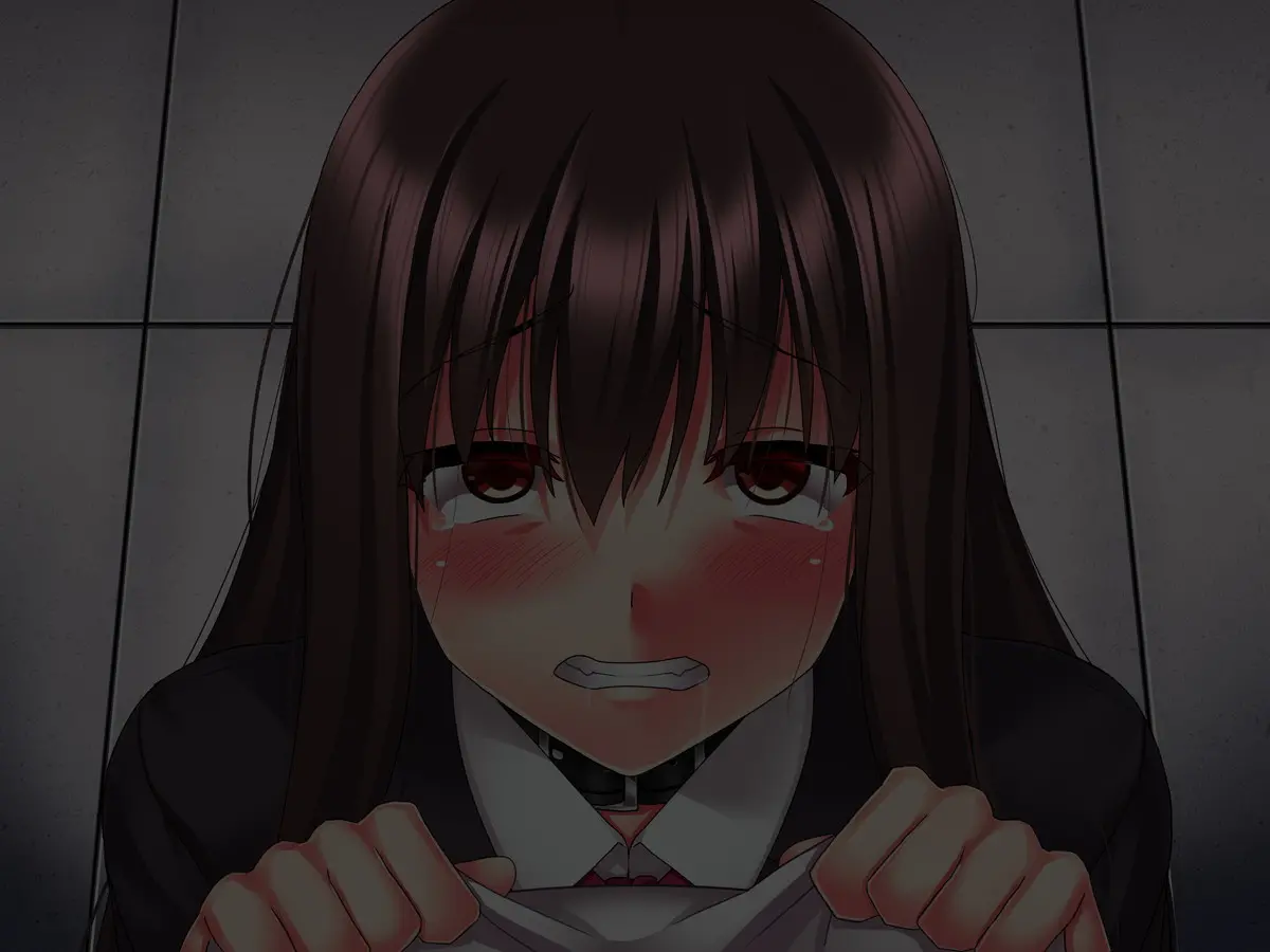 Kimeseku Nikuana Pet ~ Boku O Futta Takabisha Onna O Kankin Site Kusuri De Kuppuku Saseru ~